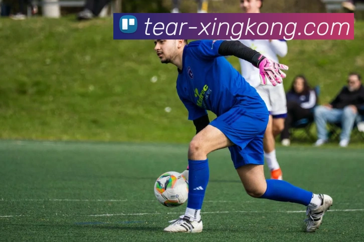 xingkong官方平台生态图