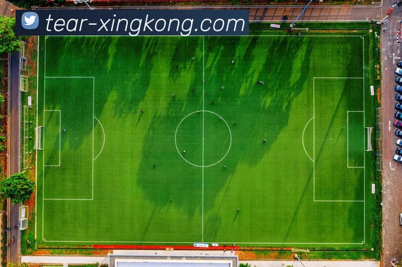 xingkong官方APP 封面图