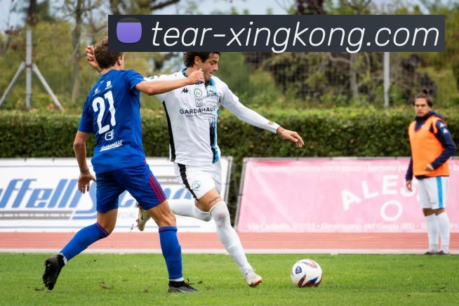 数据防护可视化